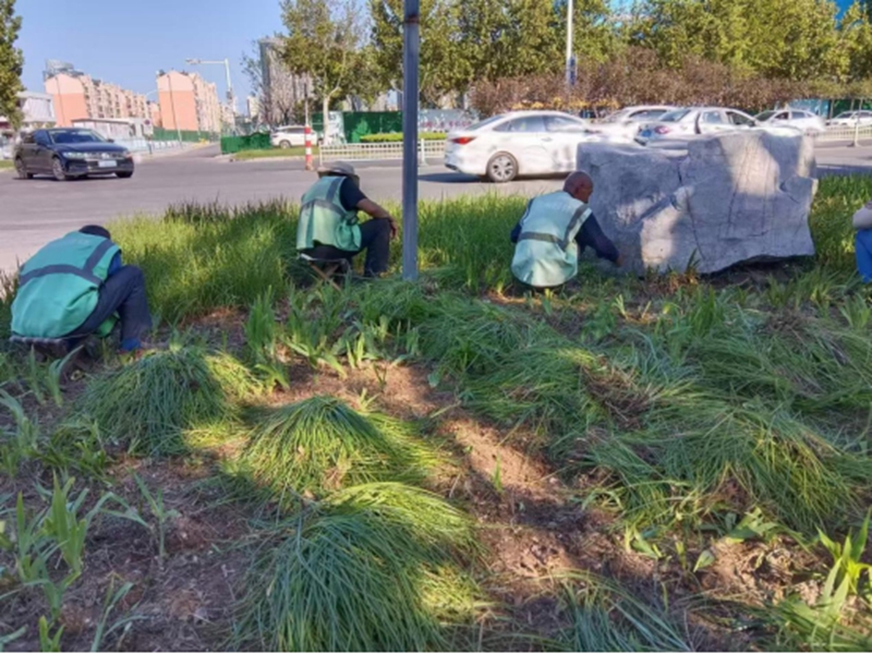 未命名_副本.jpg 未命名_副本.jpg