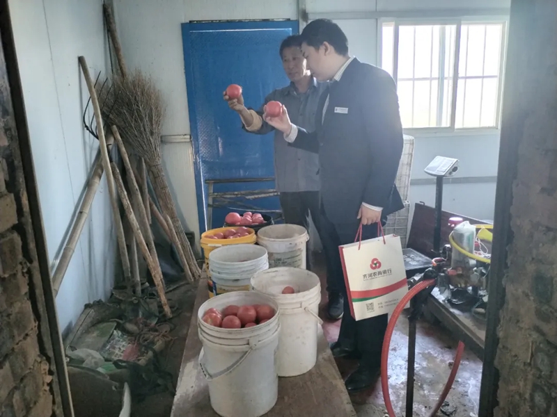未命名_副本.jpg 未命名_副本.jpg