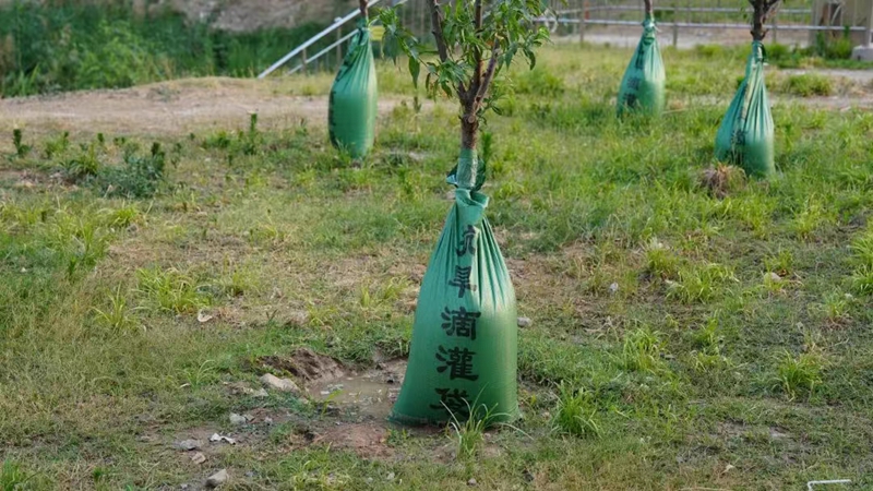 未命名_副本.jpg 未命名_副本.jpg