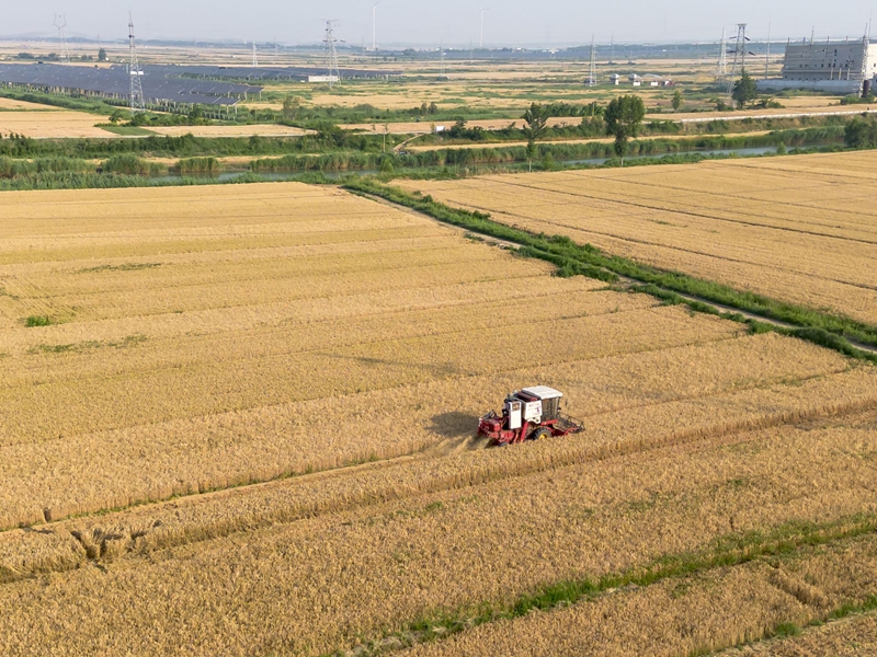 未命名_副本.jpg 未命名_副本.jpg