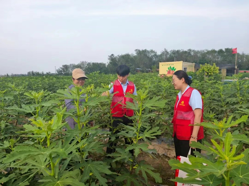 未命名_副本.jpg 未命名_副本.jpg