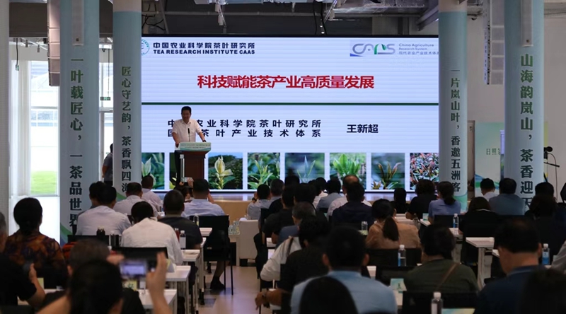 未命名_副本.jpg
