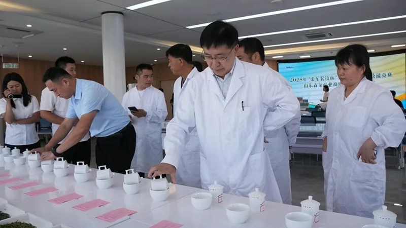 未命名_副本.jpg