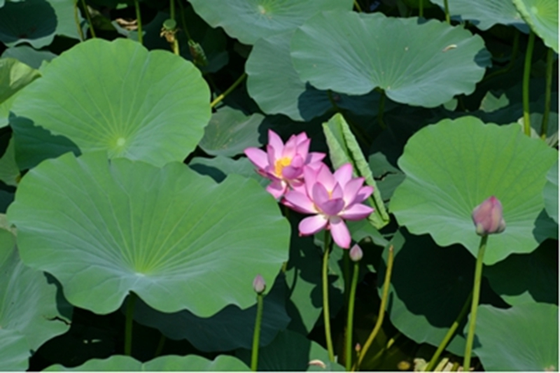 未命名_副本.jpg 未命名_副本.jpg