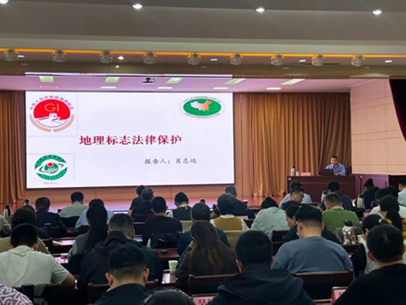 未命名_副本.jpg 未命名_副本.jpg