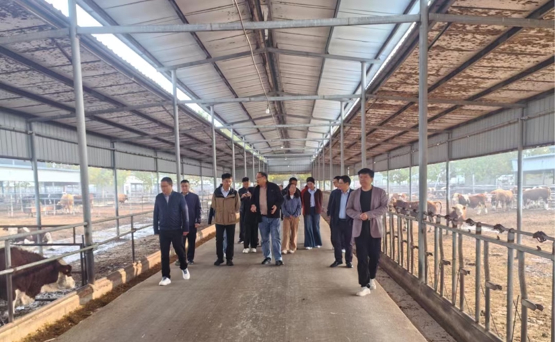 未命名_副本.jpg 未命名_副本.jpg